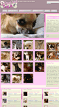 Mobile Screenshot of chihuahuatoy.it